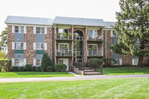 1609 N Windsor Unit 204, Arlington Heights, IL 60004