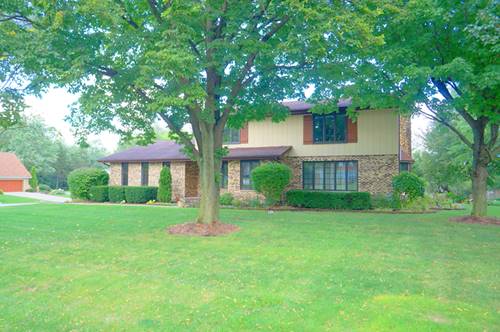 3632 Parthenon, Olympia Fields, IL 60461