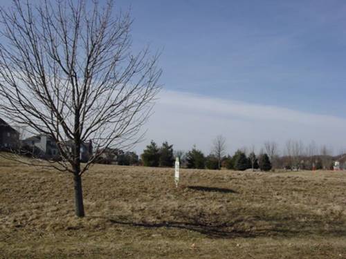 Lot 81 Madeline, Yorkville, IL 60560