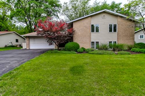 6532 Mitchell, Woodridge, IL 60517