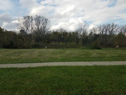 Lot 37 Pebble Creek, Wonder Lake, IL 60097