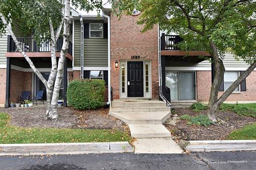 1585 Raymond Unit 103, Naperville, IL 60563