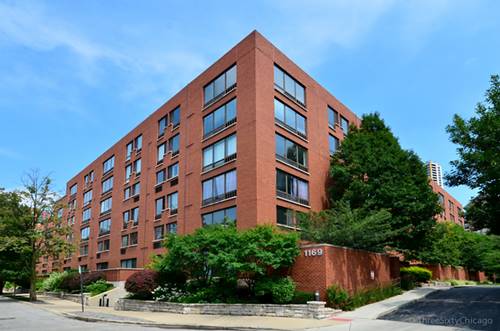 1169 S Plymouth Unit 201, Chicago, IL 60605