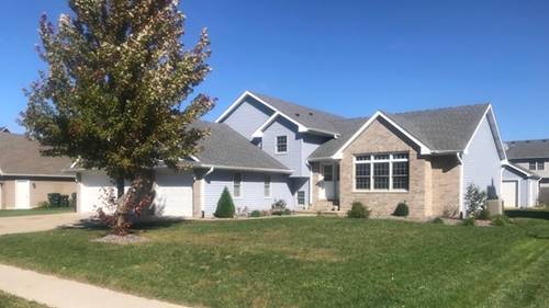 875 S Laura, Diamond, IL 60416