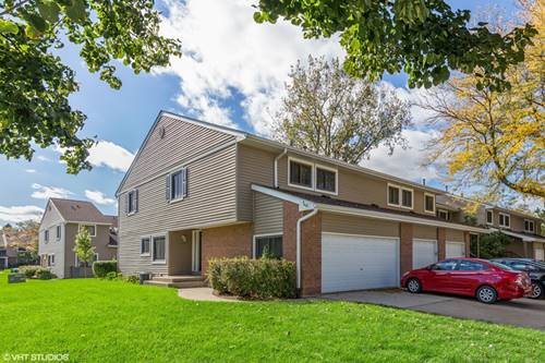 171 W Fabish, Buffalo Grove, IL 60089