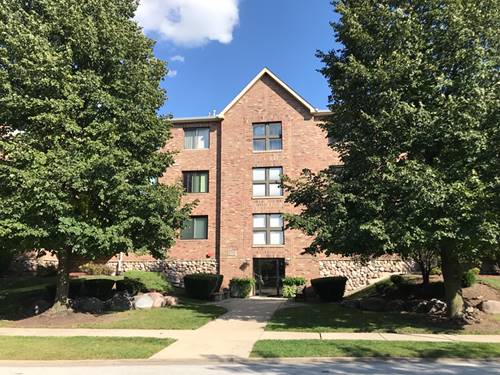 11001 Deblin Unit 201, Oak Lawn, IL 60453