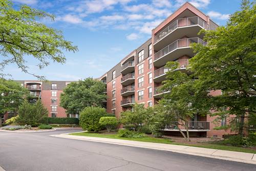 509 Aurora Unit 313, Naperville, IL 60540