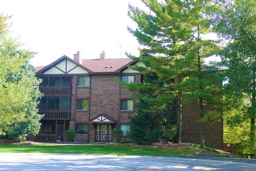 5985 Lakeside Unit 203B, Tinley Park, IL 60477