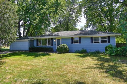 353 David, Braidwood, IL 60408