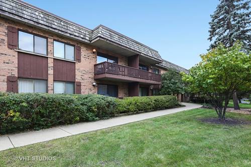 8000 Woodglen Unit 205, Downers Grove, IL 60516