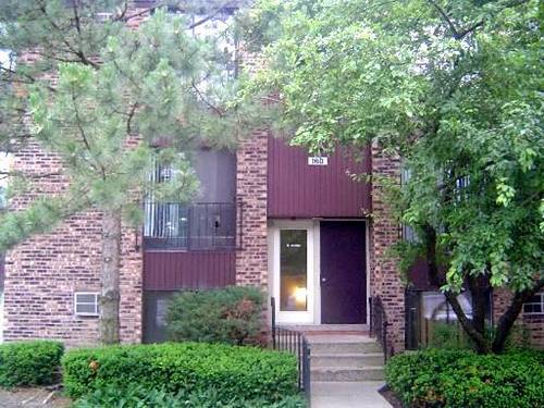 160 Dunteman Unit 301, Glendale Heights, IL 60139