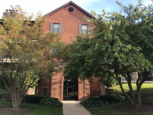 671 Hapsfield Unit 207, Buffalo Grove, IL 60089