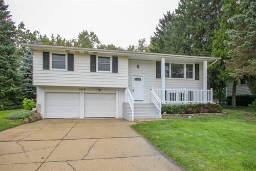 1514 Hartmann, Schaumburg, IL 60193