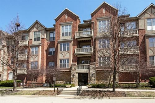 1739 Tudor Unit 207, Northbrook, IL 60062