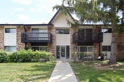 13A Kingery Quarter Unit 201, Willowbrook, IL 60527