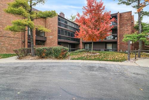 14501 Central Unit 4, Oak Forest, IL 60452