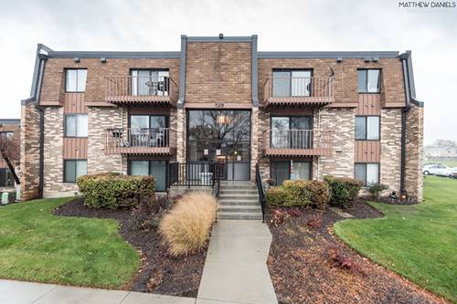 725 Limerick Unit 2D, Schaumburg, IL 60193