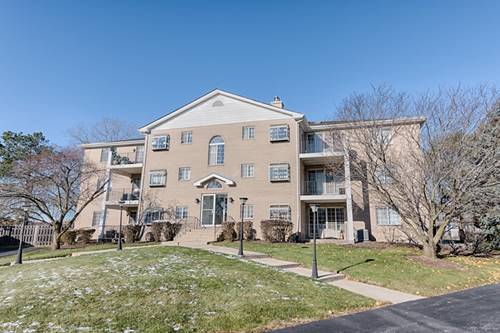 1258 Chalet Unit 304, Naperville, IL 60563