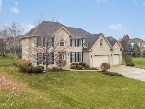 3719 Tall Grass, Naperville, IL 60564