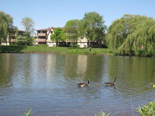 2 Parkside Unit 2, Vernon Hills, IL 60061