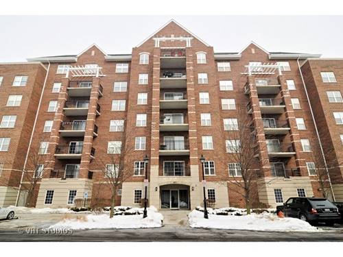 390 W Mahogany Unit 406, Palatine, IL 60067