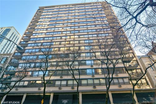 33 E Cedar Unit 19F, Chicago, IL 60611