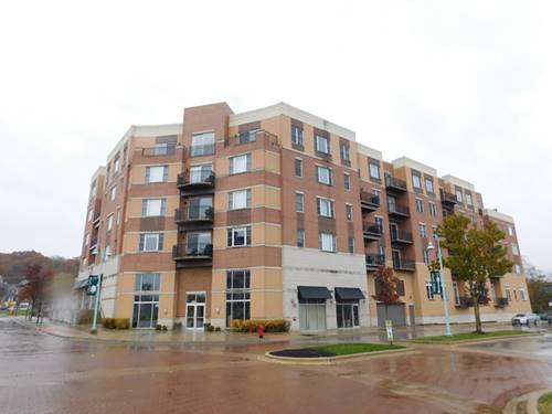 300 Village Unit 109, Willow Springs, IL 60480