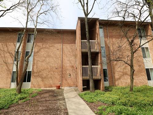 6006 East Lake Unit 1D, Lisle, IL 60532