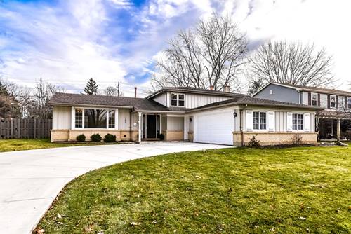 945 N Marsha, Palatine, IL 60067