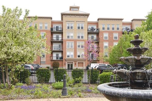 190 W Johnson Unit 301, Palatine, IL 60067