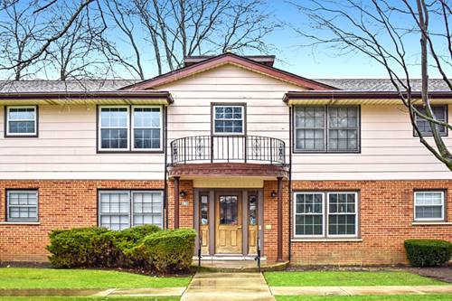 230 Washington Unit A, Elk Grove Village, IL 60007