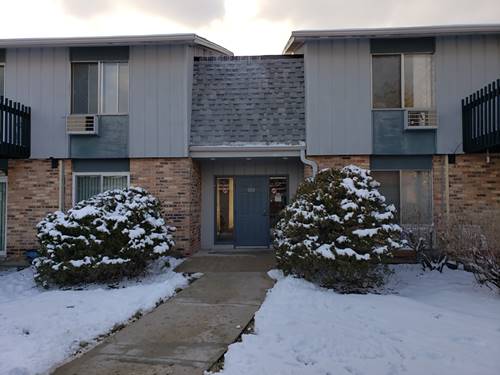 920 E Old Willow Unit 203, Prospect Heights, IL 60070