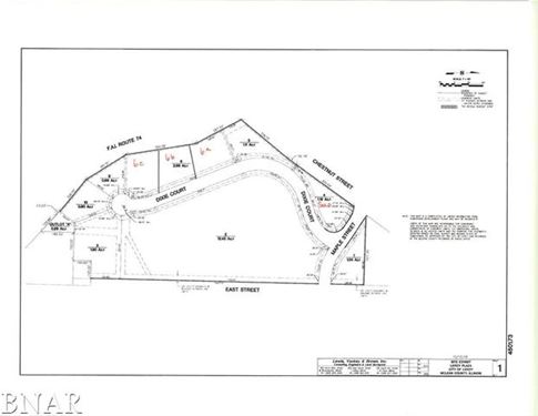 Lot 10 Persimmon, Leroy, IL 61752