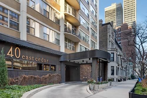 40 E Cedar Unit 19B, Chicago, IL 60611