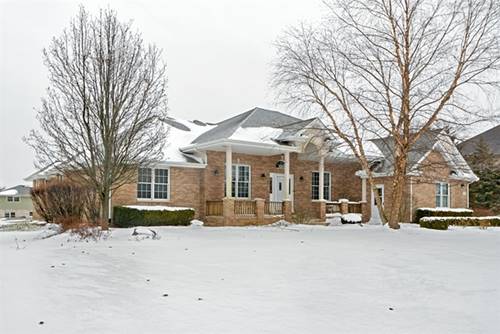 17019 Deer Path, Homer Glen, IL 60491