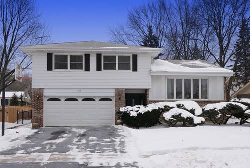 319 W Cedar, Arlington Heights, IL 60005