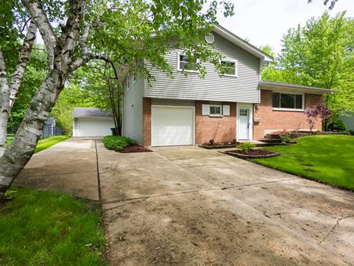 842 E Morris, Palatine, IL 60074