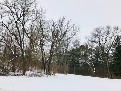 Lot 1 Foster, Huntley, IL 60142