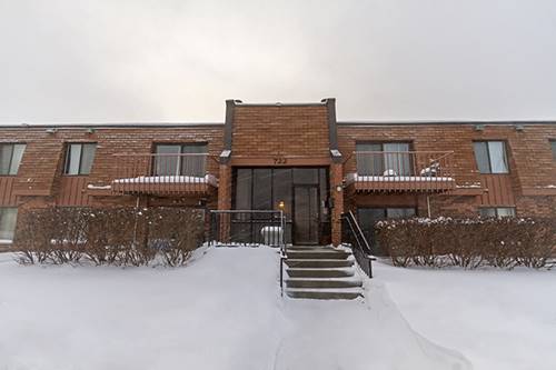 722 Tullamore Unit 1A, Schaumburg, IL 60193