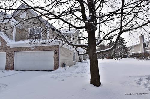 1040 Sheridan, Naperville, IL 60563