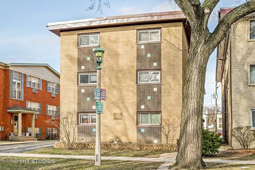 427 S Euclid Unit C, Oak Park, IL 60302