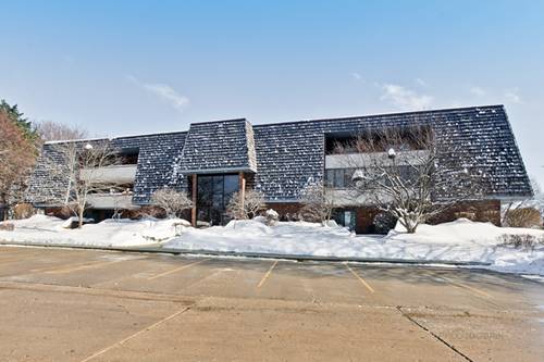 100 Red Top Unit 203, Libertyville, IL 60048