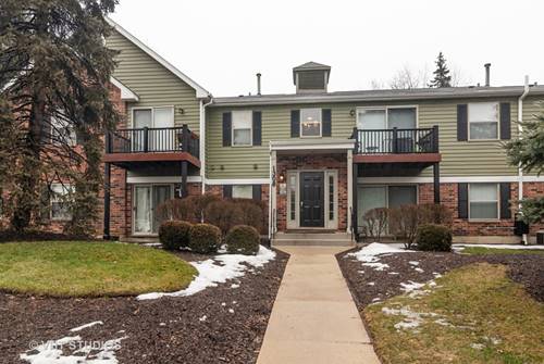 1308 Mc Dowell Unit 203, Naperville, IL 60563