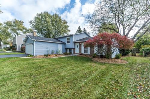 1713 La Palma, Wheaton, IL 60189