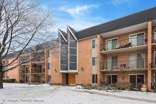 1052 N Mill Unit 101, Naperville, IL 60563