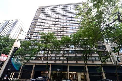 33 E Cedar Unit 6G, Chicago, IL 60611