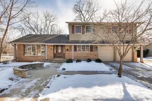 887 E Schirra, Palatine, IL 60074