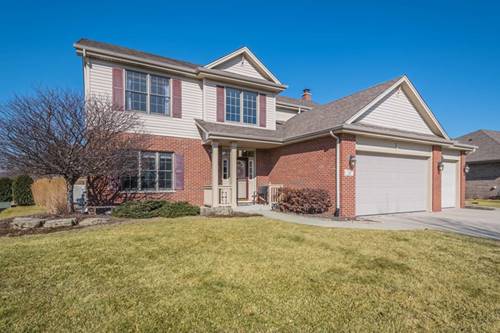 749 Willowfield, New Lenox, IL 60451