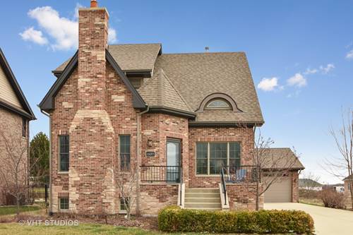 16095 Syd Creek, Homer Glen, IL 60491