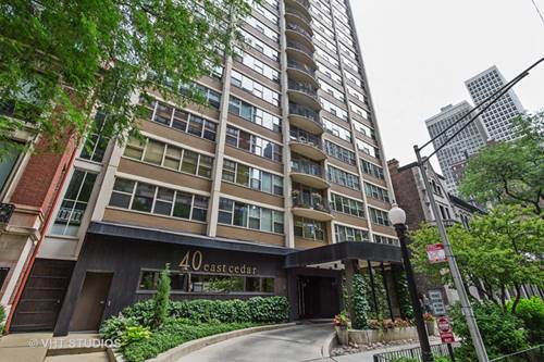 40 E Cedar Unit 18B, Chicago, IL 60611